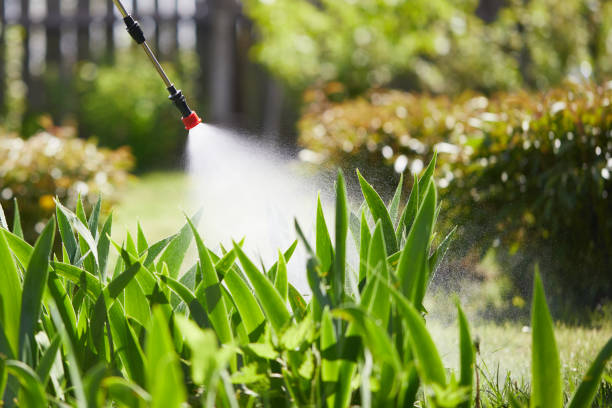 24/7 Emergency Mosquito Control experts in Norway, MI